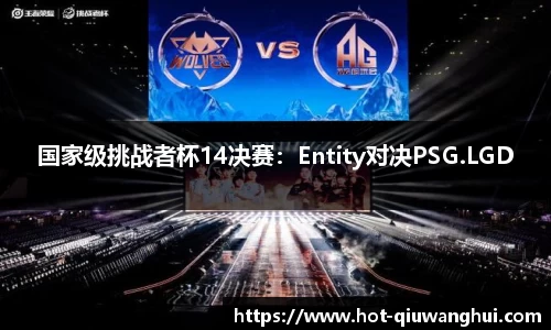 国家级挑战者杯14决赛：Entity对决PSG.LGD